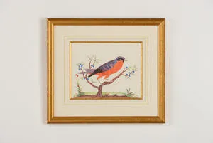 Product Image 1 for Orange Breast Bird Artwork from Chelsea House