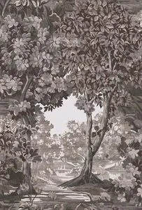 Product Image 1 for Bodenham Etching Charcoal Wallpaper from Graham & Brown