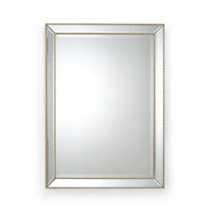 Product Image 1 for Olivia Mirror from Chelsea House