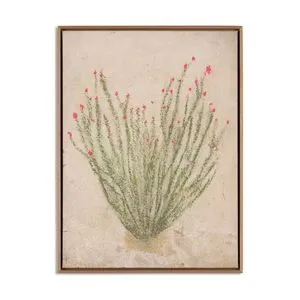 Product Image 1 for Ocotillo by Paul Meyer from Four Hands