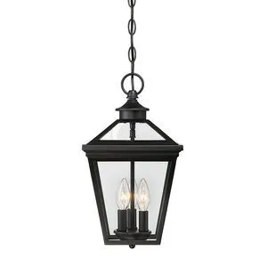 Product Image 1 for Ellijay 9" Steel Hanging Lantern from Savoy House 