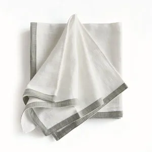 Product Image 1 for Quinn Dinner Napkins, Set Of 4 from Napa Home And Garden
