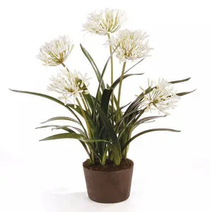 Product Image 2 for Agapanthus Drop-In from Napa Home And Garden