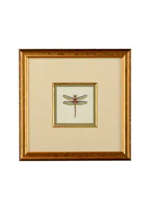 Product Image 1 for Miniature Dragonfly IV Artwork from Chelsea House