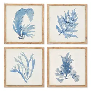 Product Image 1 for Framed Coral Watercolor Prints, Set Of 4 from Napa Home And Garden