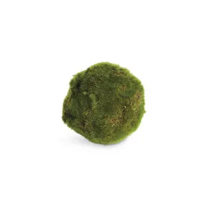Product Image 1 for Moss Orbs, Set of 6 from Napa Home And Garden