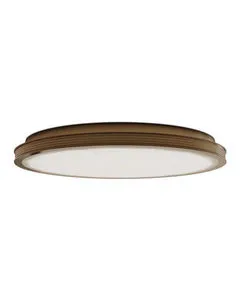 Product Image 1 for Aydan Flush Mount from Currey & Company