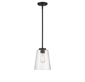 Large mini pendant with clear glass shade and matte black fixture, adjustable cord hanging from black ceiling mount