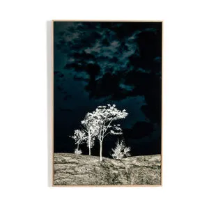 Product Image 1 for There's A Lack Of Color Here By Getty Im from Four Hands