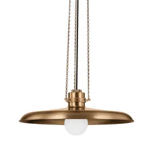 Product Image 1 for Rainhill Pendant from Troy Lighting