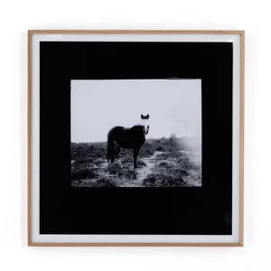 Product Image 5 for Blank Horse By Annie Spratt Framed Paper from Four Hands