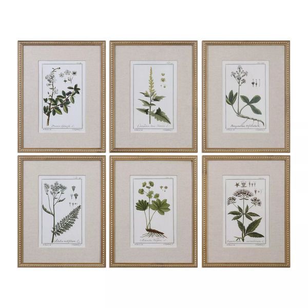 Uttermost Green Floral Botanical Study Prints S/6 image 1