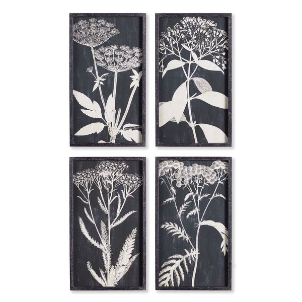 Product Image 1 for Monochrome Queen Anne's Lace Prints, Set Of 4 from Napa Home And Garden