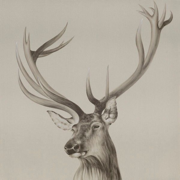 Product Image 1 for Roosevelt Elk Wall Décor from Moe's