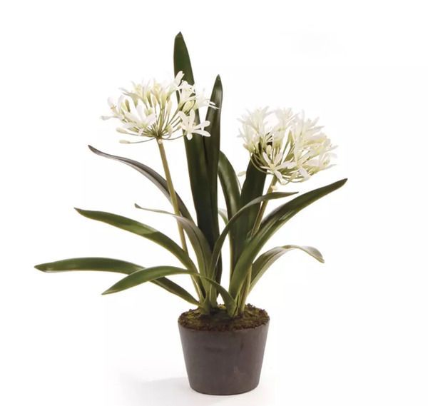 Product Image 2 for Agapanthus Drop-In from Napa Home And Garden
