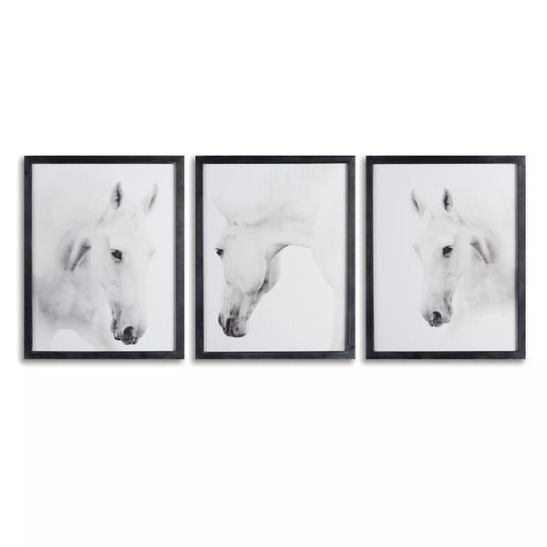 Product Image 1 for Wild Horses Photographic Prints, Set Of 3 from Napa Home And Garden