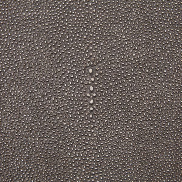 Product Image 2 for Shagreen Desk Stainless - Brown Shagreen from Four Hands