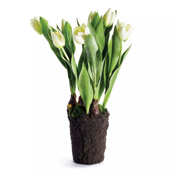 Product Image 1 for Tulip Drop In 22" from Napa Home And Garden