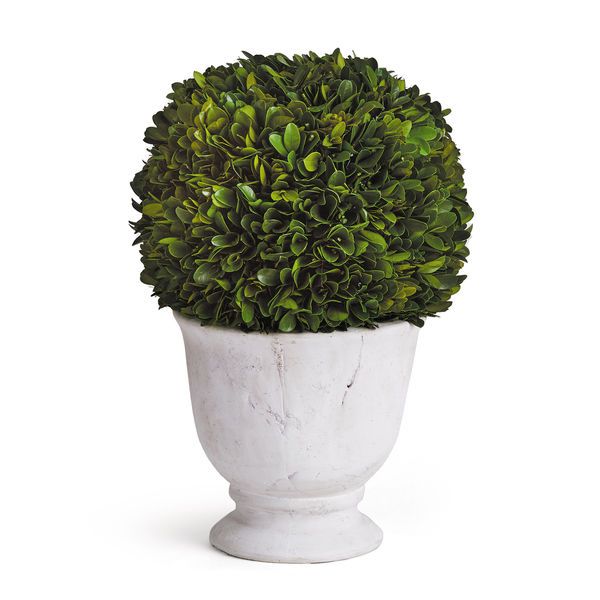 Product Image 1 for English Boxwood Ball Topiary in Large Pot from Napa Home And Garden