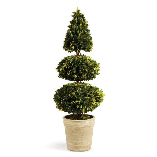 Product Image 1 for English Boxwood Double Sphere & Cone Topiary from Napa Home And Garden