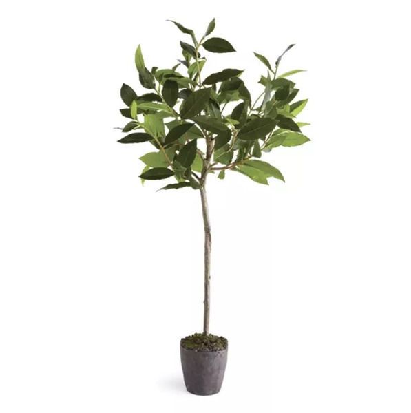 Product Image 2 for Bayleaf Faux Tree Drop-In, 28.5" from Napa Home And Garden