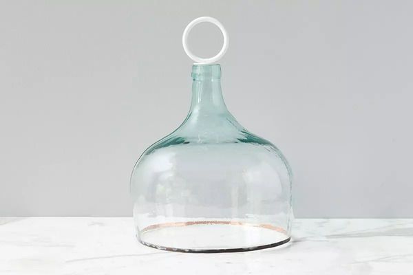 Product Image 4 for Bianca Glass Cloche from etúHOME