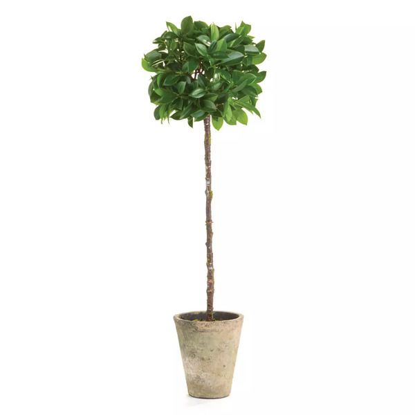 Faux Ficus Potted Topiary, 27" image 1