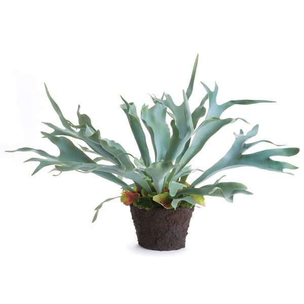 Product Image 1 for Staghorn Faux Fern Drop-In, 21" from Napa Home And Garden
