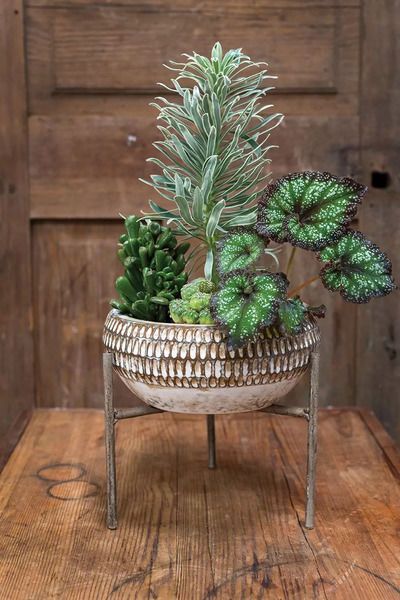 Product Image 2 for Small Xander Plant Stand from Accent Decor