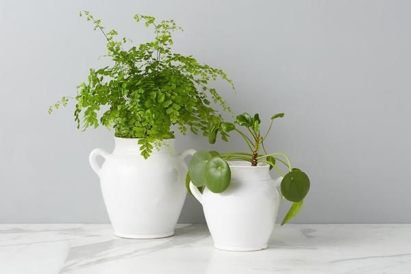 Product Image 8 for White French Confit Pot from etúHOME
