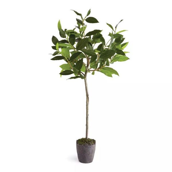 Product Image 3 for Bayleaf Faux Tree Drop-In, 28.5" from Napa Home And Garden