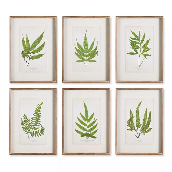 Forest Greenery Prints, Set Of 6 image 1