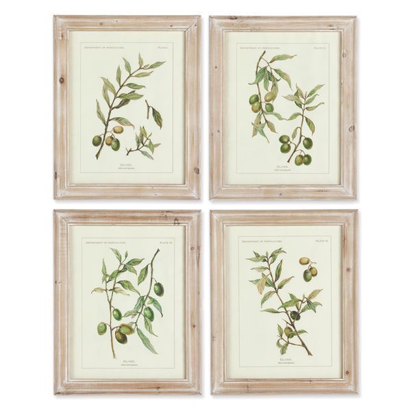 Framed Olive Leaf Botanical Prints, Set Of 4 image 1