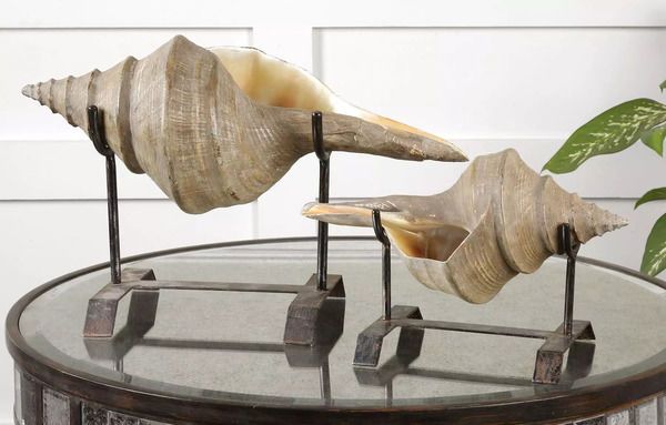 Product Image 2 for Uttermost Conch Shell Sculpture, Set/2 from Uttermost