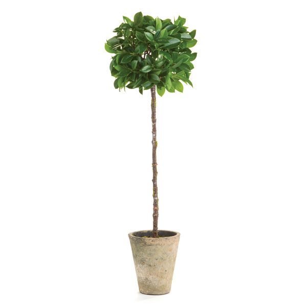 Faux Ficus Potted Topiary, 27" image 2