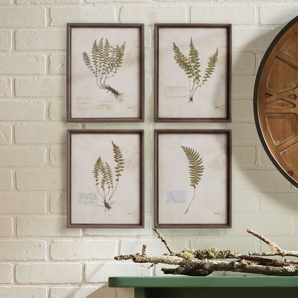 Product Image 2 for Petite Frond Prints, Set Of 4 from Napa Home And Garden