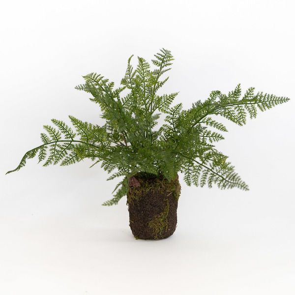 Natural Fern Drop-In image 4