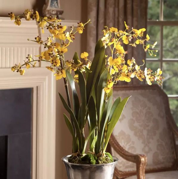 Product Image 1 for Dancing Orchid Drop-In 32" from Napa Home And Garden