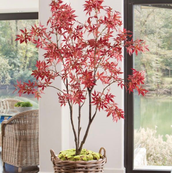 Product Image 1 for Red Maple Tree Drop In 84" from Napa Home And Garden