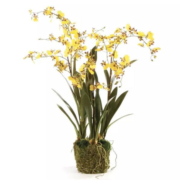 Product Image 2 for Dancing Orchid Drop-In 32" from Napa Home And Garden