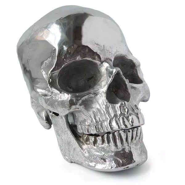 Metal Skull image 1