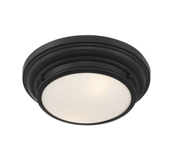 Product Image 3 for Cassidy 2 Light Flush Mount from Savoy House 