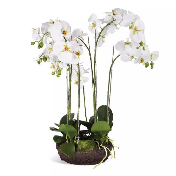 Phalaenopsis Bowl Drop In 31.5" image 1
