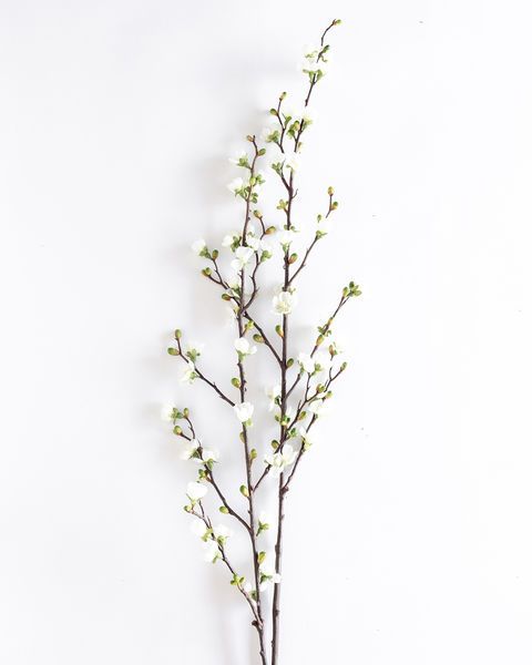 Product Image 6 for Gwendolyn Blossom Branches - 48", Bundle of 2 from Napa Home And Garden