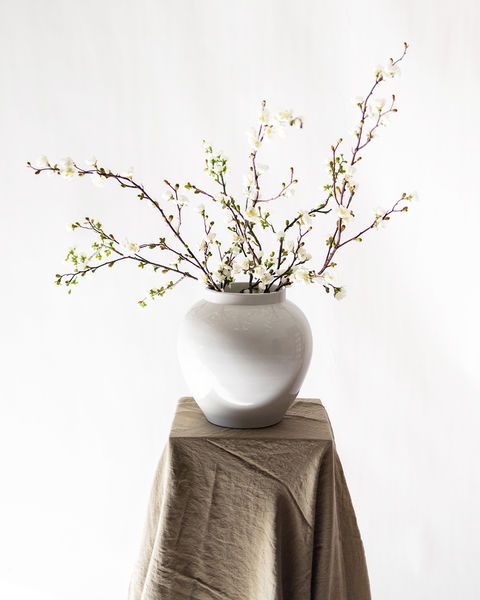 Product Image 1 for Gwendolyn Blossom Branches - 48", Bundle of 2 from Napa Home And Garden