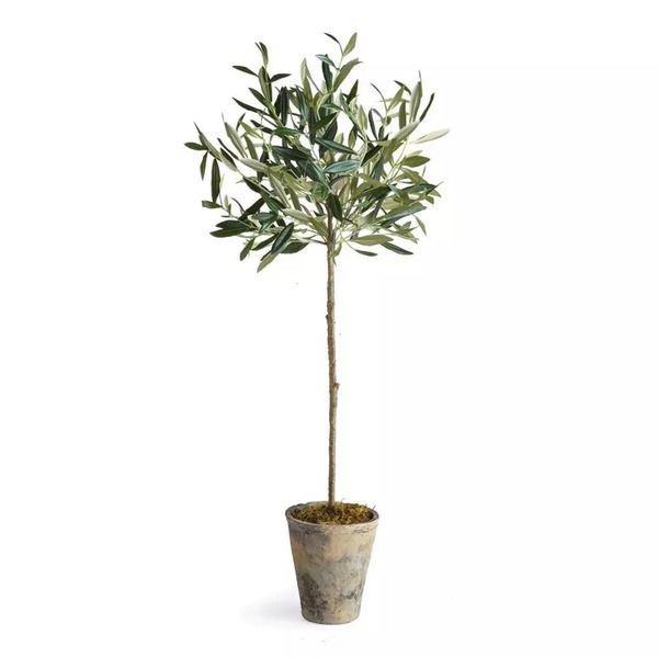 Product Image 1 for Olive Tree Potted 46" from Napa Home And Garden