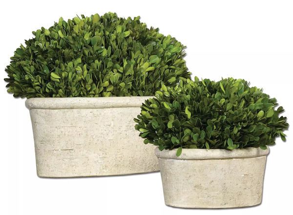 Product Image 1 for Uttermost Oval Domes Preserved Boxwood Set/2 from Uttermost