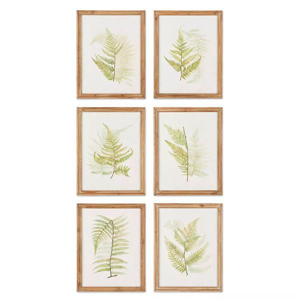 Product Image 1 for Framed Fern Study, Set Of 6 from Napa Home And Garden