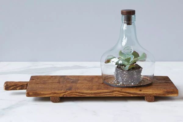 Product Image 1 for Bordeaux Footed Tray from etúHOME