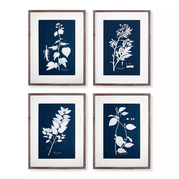 Product Image 1 for Cyano Botanical Leaf Study, Set Of 4 from Napa Home And Garden